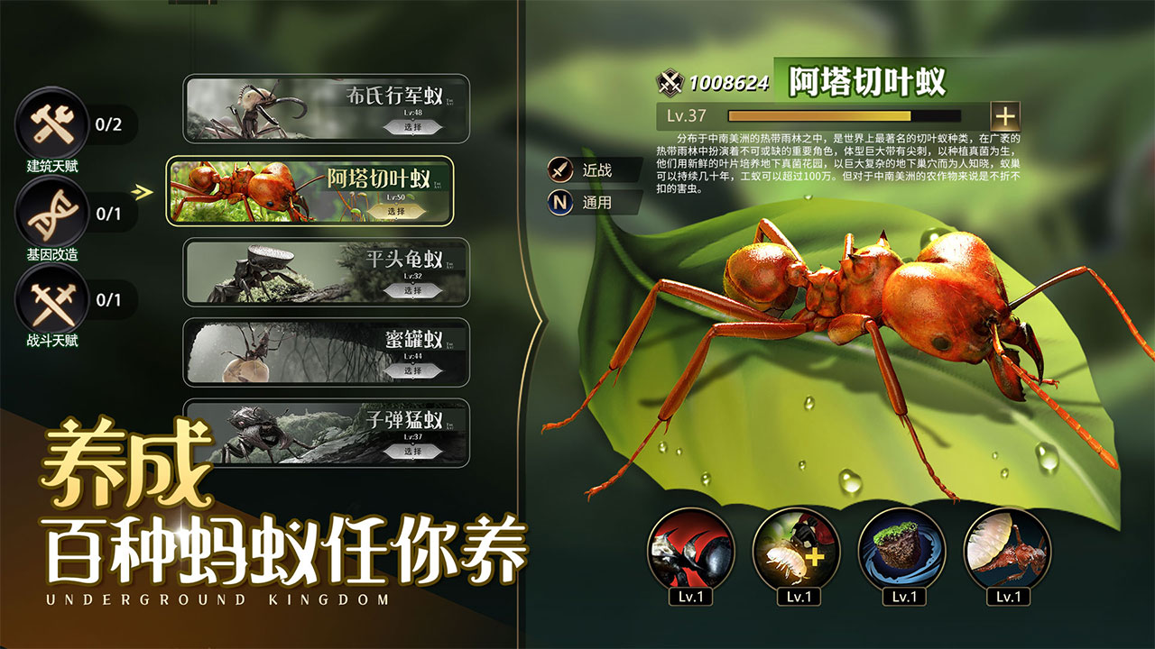 小小蚁国九游客户端1.83.0 最新版本4
