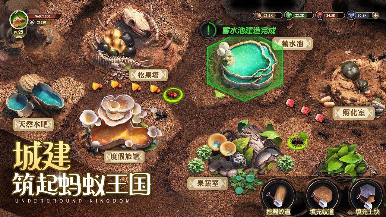 小小蚁国九游客户端1.83.0 最新版本4