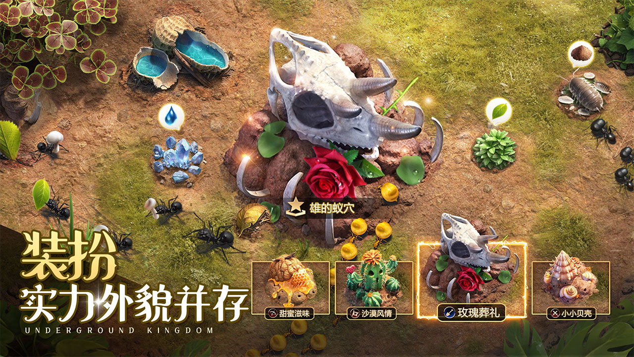 小小蚁国九游客户端1.83.0 最新版本4