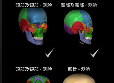 3d解剖学AnatomyLearning免费版