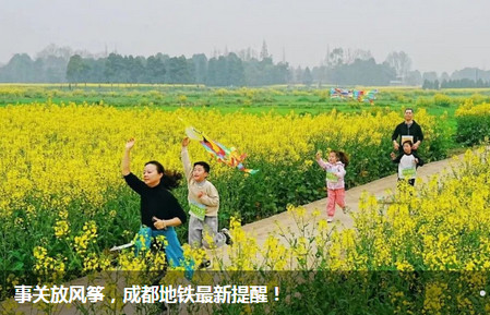 看度新闻app手机版