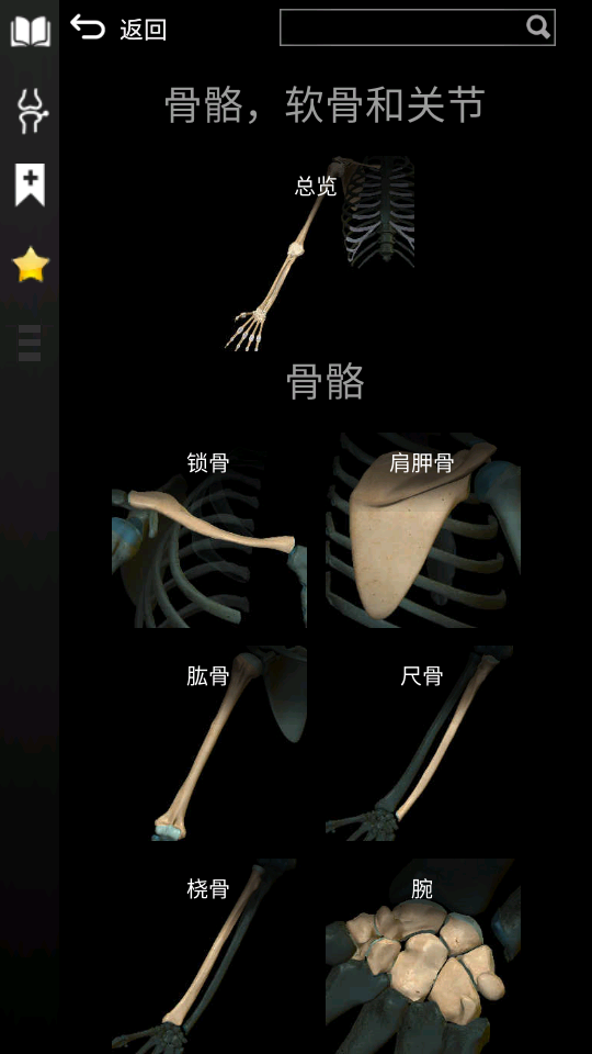 3d解剖学AnatomyLearning免费版v2.1.413完整版4